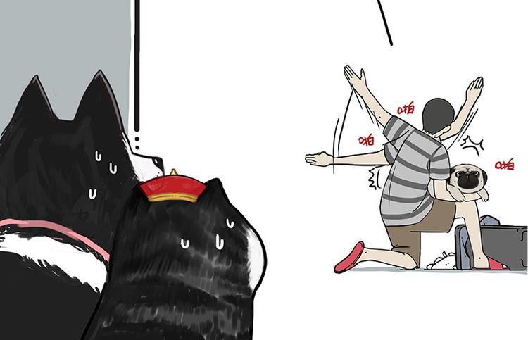吾皇巴扎黑漫画,第173话 被抓到了吧~2图