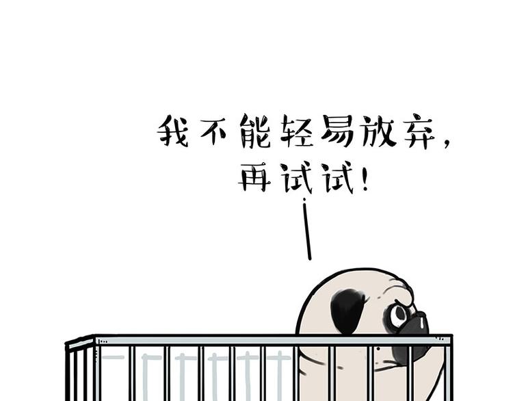 吾皇巴扎黑图片漫画,第176话 不要打扰我追求自由1图