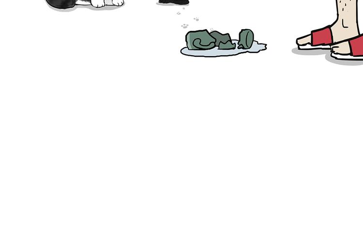 吾皇巴扎黑漫画,第49话 只见新人笑未闻旧人哭1图