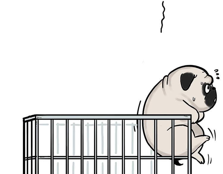 吾皇巴扎黑超话漫画,第176话 不要打扰我追求自由1图