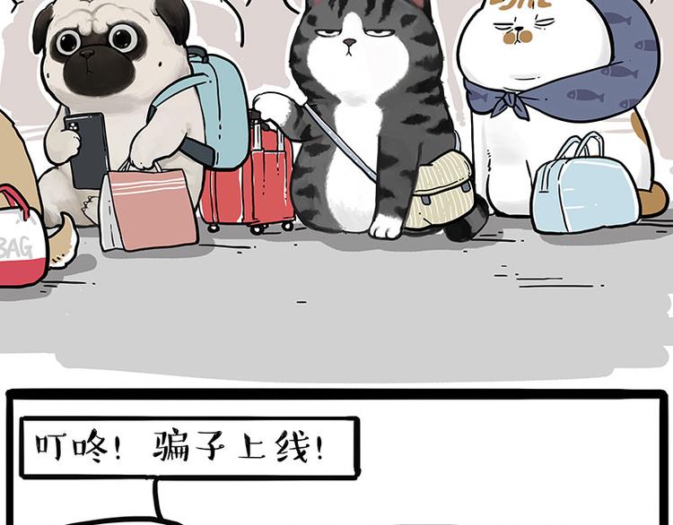 吾皇巴扎黑漫画,第231话 防骗指南1图