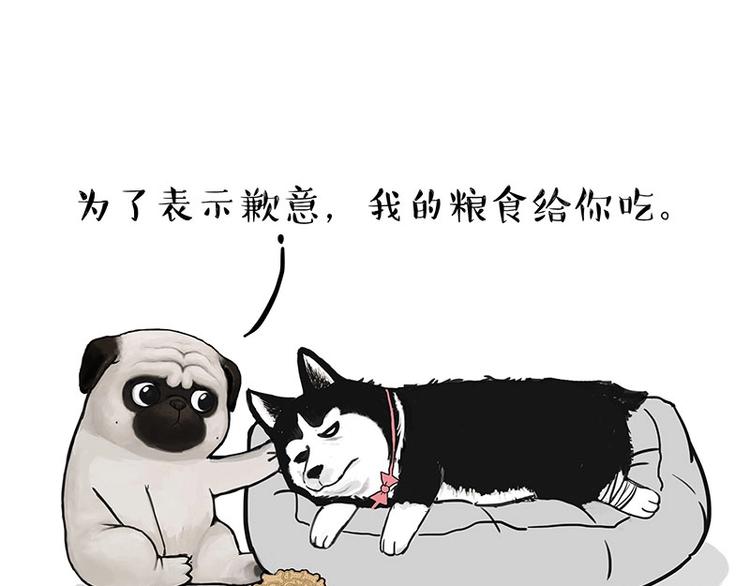 吾皇巴扎黑漫画,第160话 最差的一届哈士奇！2图