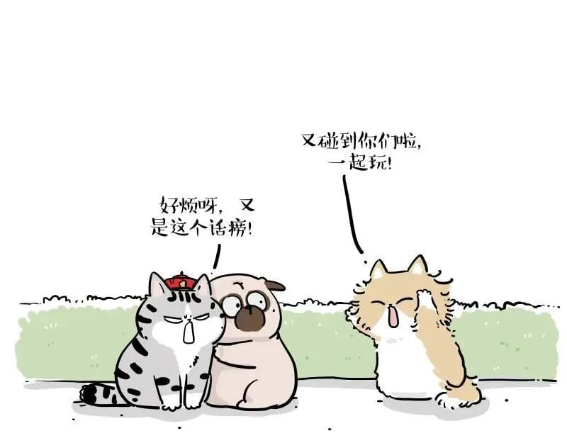 吾皇巴扎黑漫画,第424话 话痨小猫1图