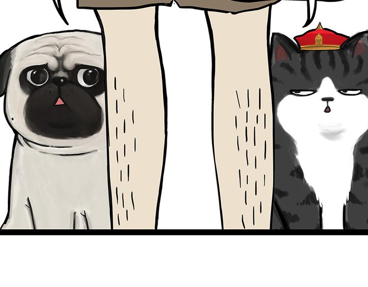 吾皇巴扎黑漫画,第229话 条纹衫是你的命1图