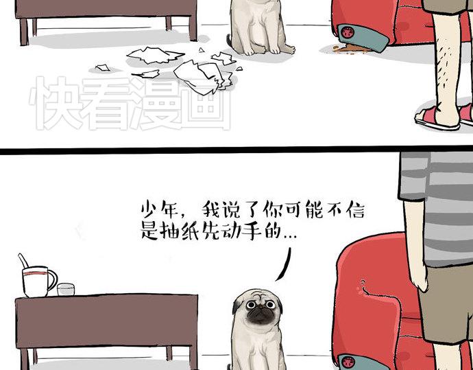 吾皇巴扎黑漫画,第29话 就算高考也要铲屎2图