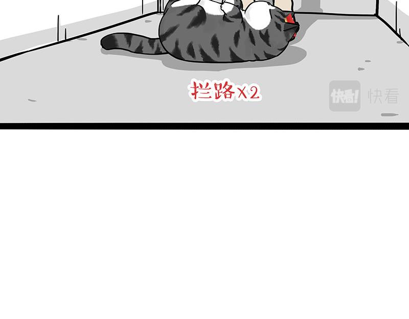 吾皇巴扎黑漫画全集漫画,第297话 无处不在拦路猫1图