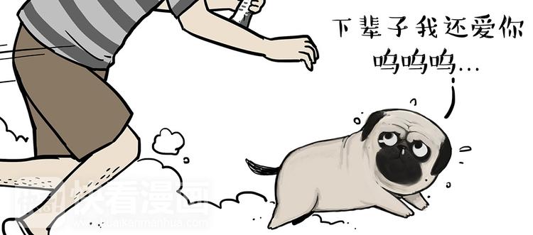 吾皇巴扎黑漫画,第52话 宠物的使命1图