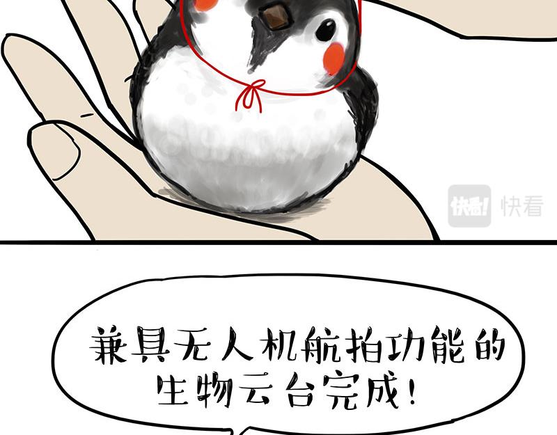 吾皇巴扎黑漫画,第309话 不妙小喵招1图