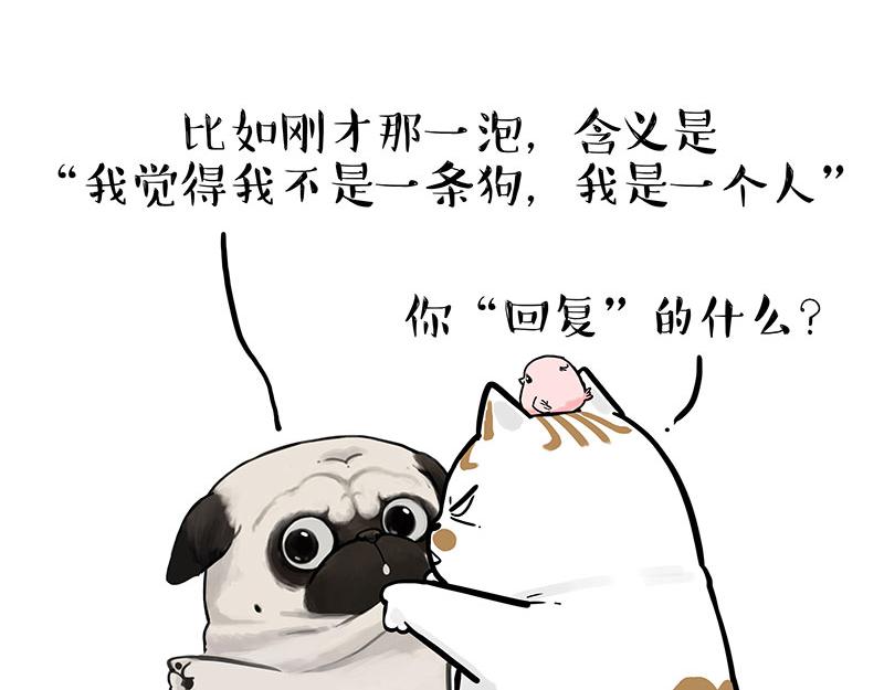 吾皇巴扎黑漫画,第317话 社交密码1图