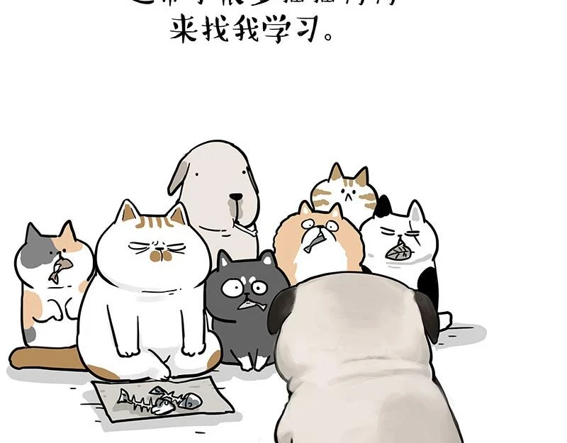 吾皇巴扎黑漫画,第365话 “神犬”巴扎黑2图