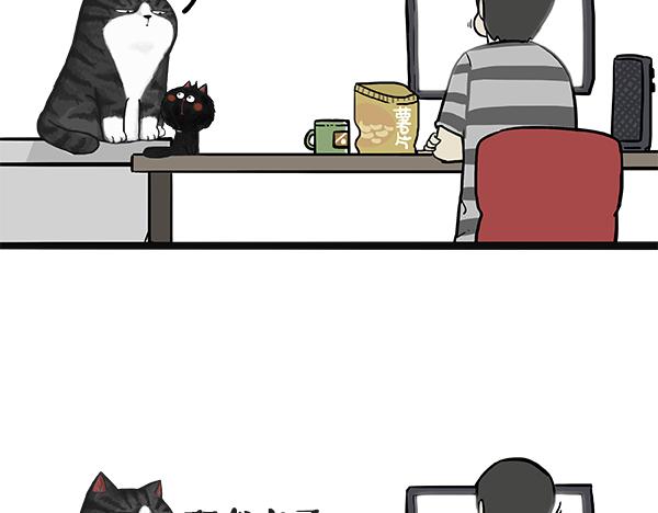 吾皇巴扎黑漫画,第49话 只见新人笑未闻旧人哭2图