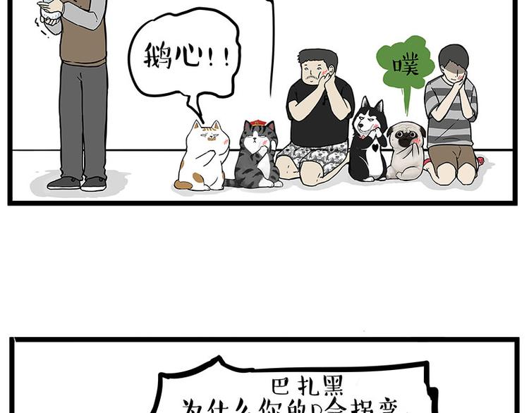 吾皇巴扎黑漫画,第235话 是亲生的没错吧？2图