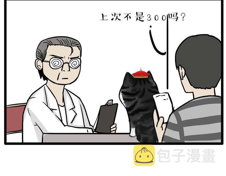 吾皇巴扎黑漫画,第79话 带宠物看病（下）2图