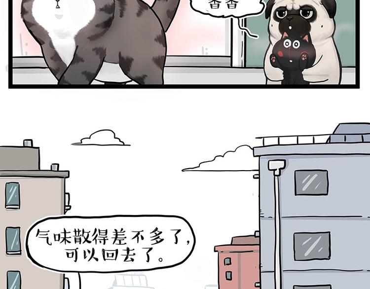 吾皇巴扎黑漫画,第284话 美喵竟是我自己1图