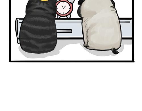 吾皇巴扎黑漫画,第125话 一只优秀的汪1图