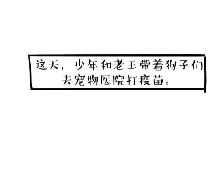 吾皇巴扎黑漫画,第218话 你不配有爱情1图