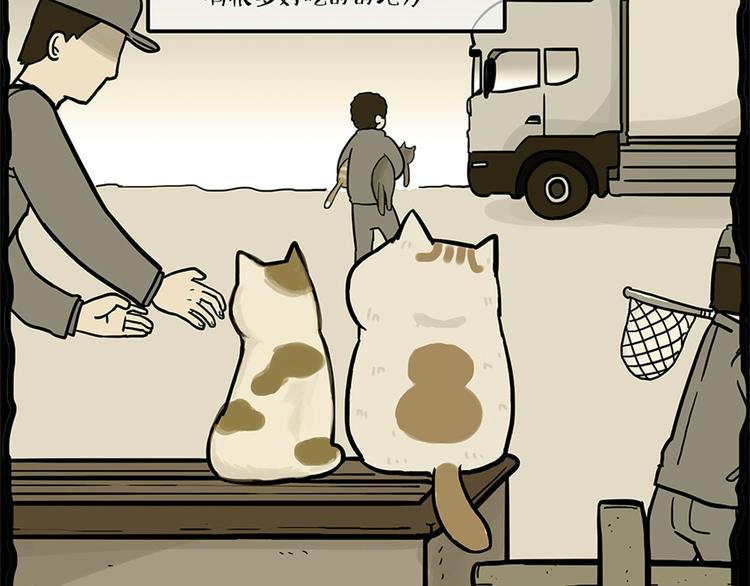 吾皇巴扎黑漫画,第58话 流浪生活1图