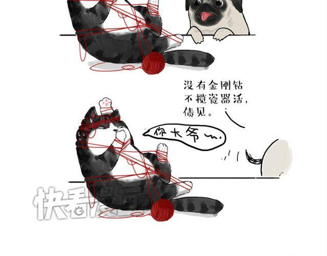 吾皇巴扎黑漫画,第15话 猫引发的朋友圈惨案2图