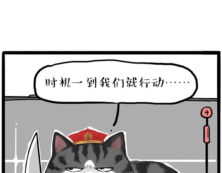 吾皇巴扎黑漫画,第217话 联手“作案”1图