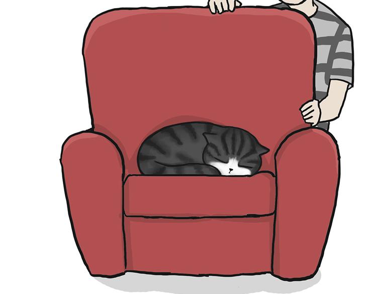 吾皇巴扎黑漫画全集漫画,第39话 现在的猫狗戏比人都多2图