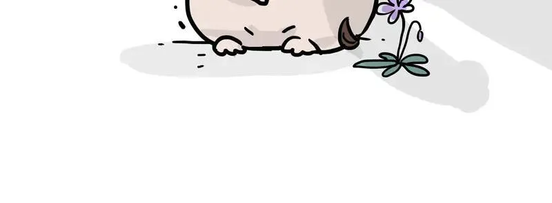 吾皇巴扎黑漫画,第417话 帅哥你谁2图