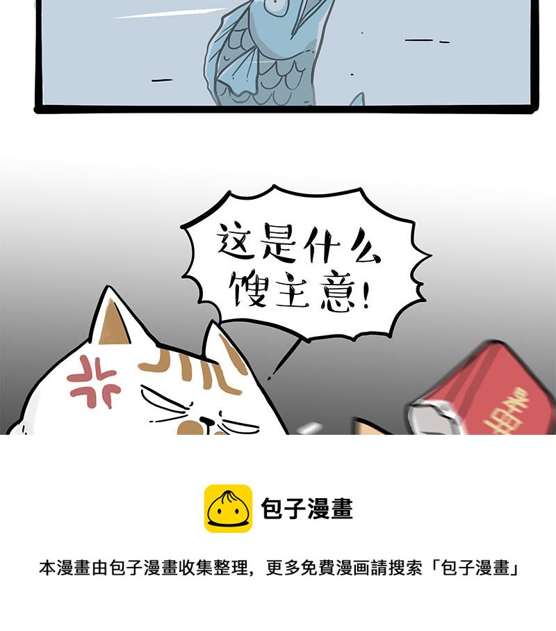 吾皇巴扎黑漫画,第320话 猫孵鱼1图