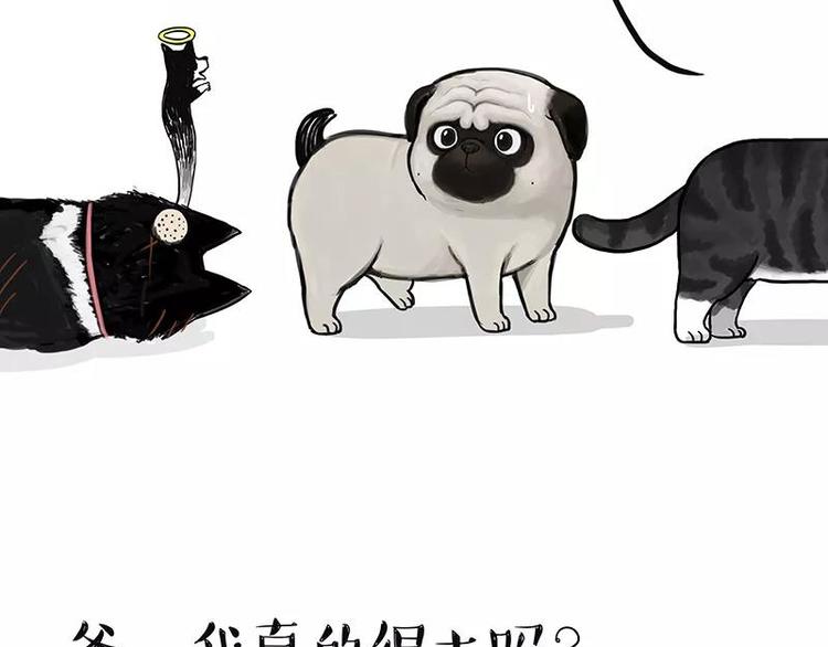 吾皇巴扎黑漫画,第227话 丑狗宿命2图