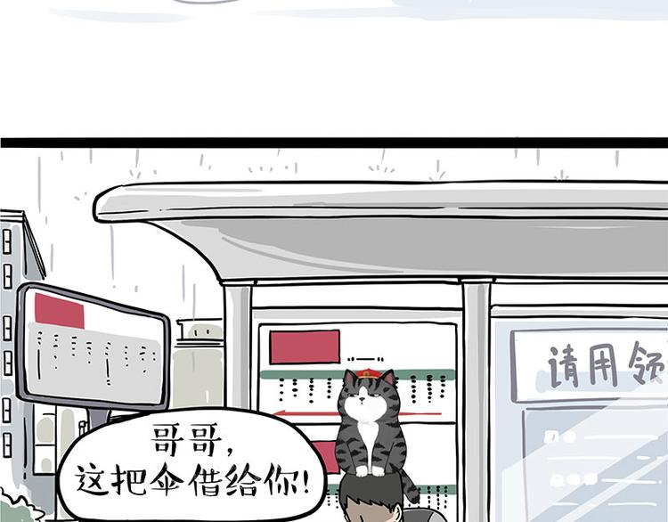 吾皇巴扎黑漫画,第282话 型男（猫）1图