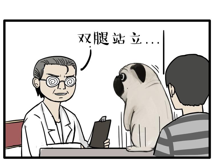 吾皇巴扎黑漫画,第78话 带宠物看病（上）1图