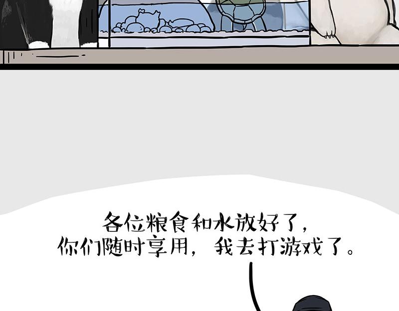 吾皇巴扎黑漫画全集漫画,第299话 真假虚实2图