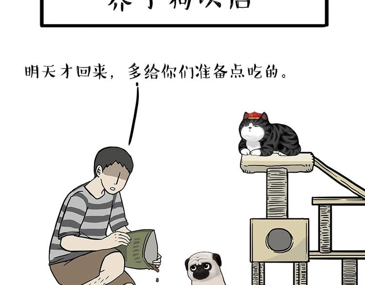 吾皇巴扎黑漫画,第154话 要给自己打个气！1图