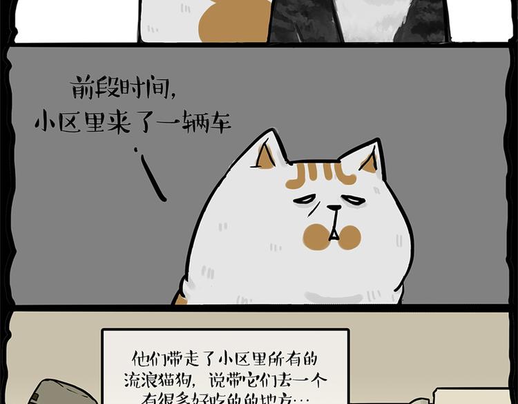 吾皇巴扎黑漫画,第58话 流浪生活2图