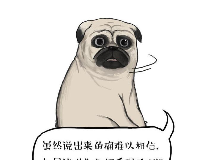 吾皇巴扎黑漫画,第29话 就算高考也要铲屎2图