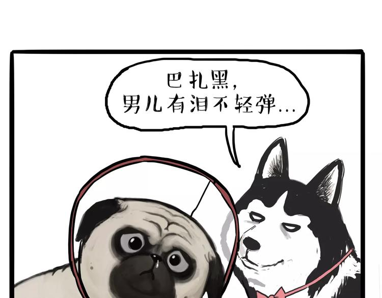 吾皇巴扎黑漫画,第104话 来人救驾2图