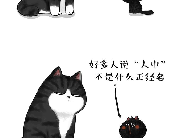 吾皇巴扎黑漫画,第53话 宠物的压力2图