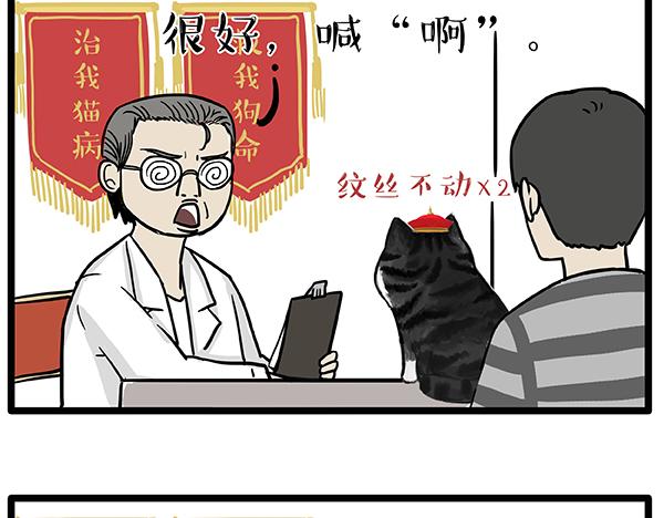 吾皇巴扎黑漫画,第78话 带宠物看病（上）1图