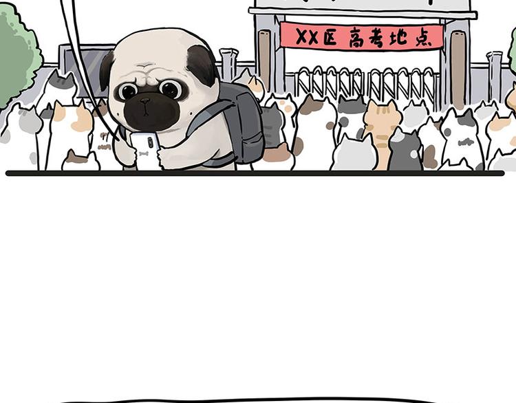 吾皇巴扎黑高清壁纸漫画,第276话 高考逆袭1图