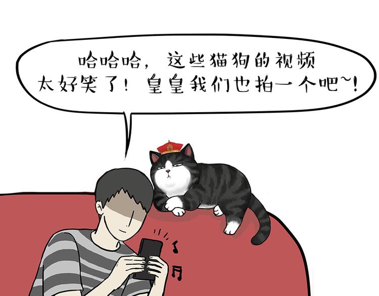 吾皇巴扎黑漫画,第117话 我们的关系1图