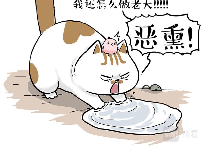 吾皇巴扎黑漫画,第303话 你有“熏”吗？2图