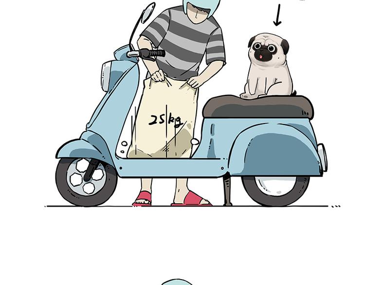 吾皇巴扎黑漫画,第207话 巴扎黑丢了？！2图