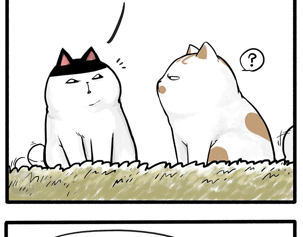 吾皇巴扎黑漫画,第331话 猫王争霸之“杀青”2图