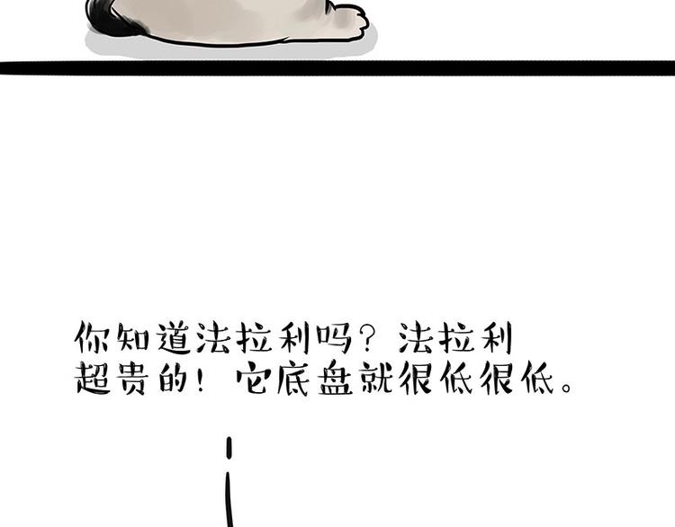 吾皇巴扎黑漫画全集漫画,第175话 狗中王者2图