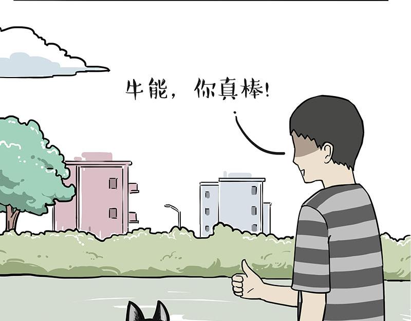 吾皇巴扎黑漫画,第305话 白表白了2图