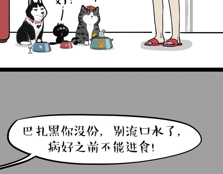 吾皇巴扎黑漫画,第202话 谁动了吾皇的猫粮1图