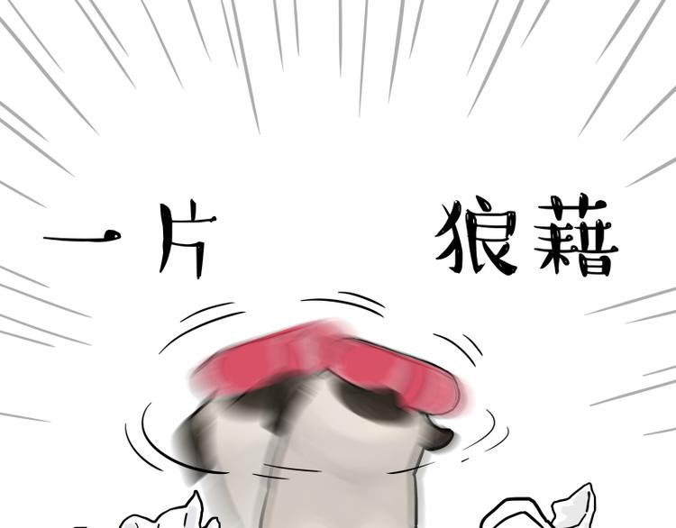 吾皇巴扎黑漫画,第261话 灭蟑？2图