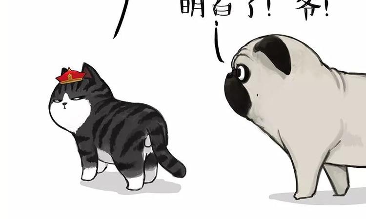 吾皇巴扎黑漫画,第227话 丑狗宿命2图