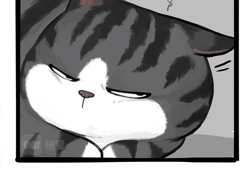 吾皇巴扎黑漫画,第368话 睁一只眼闭一只眼2图