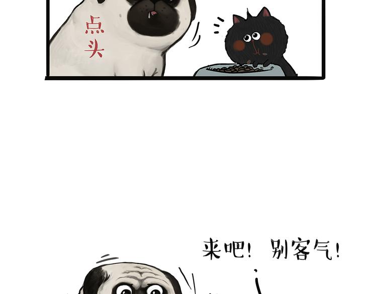 吾皇巴扎黑漫画,第51话 猫和狗的待遇就是不同2图