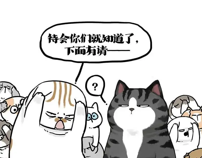 吾皇巴扎黑漫画,第404话 寻家计划1：啸天2图