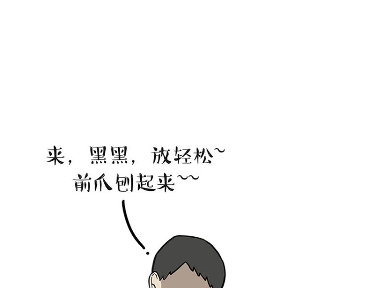 吾皇巴扎黑漫画,第294话 教狗游泳难度爆棚1图